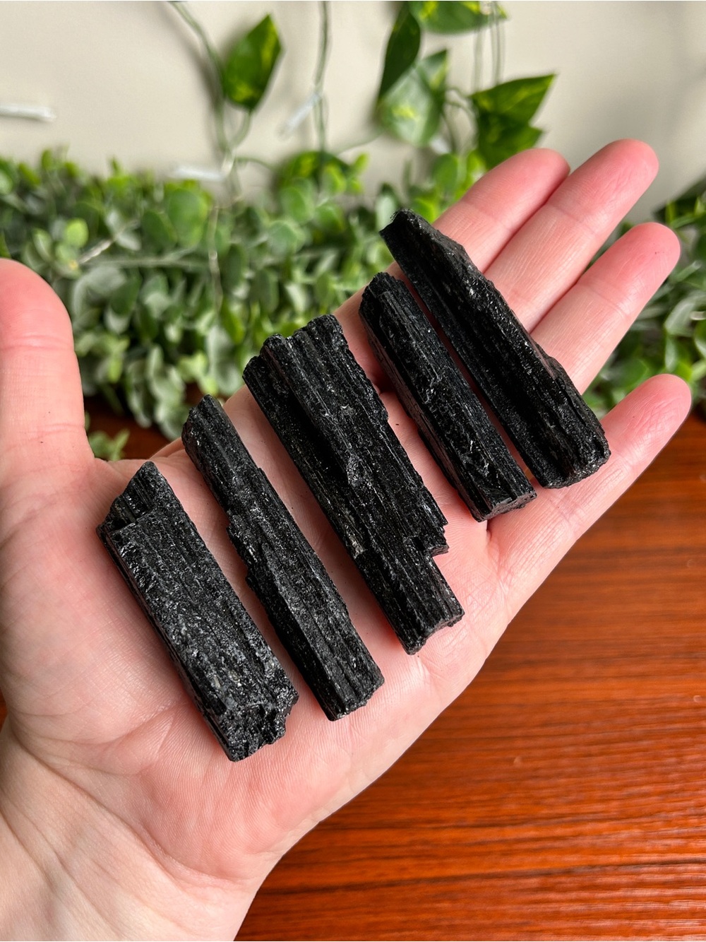 Black Tourmaline Raw Crystal Sticks - Set of 5